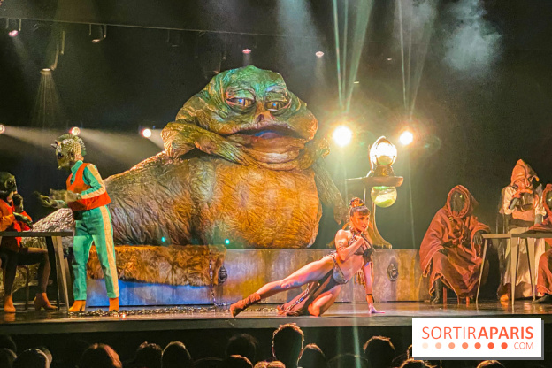 Star Wars The Empire Strips Back