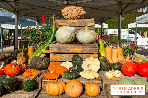 Automne au Potager du Roi - Citrouilles - Halloween