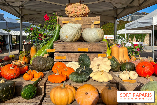 Automne au Potager du Roi - Citrouilles - Halloween