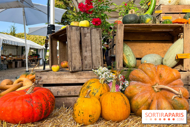 Automne au Potager du Roi - Citrouilles - Halloween