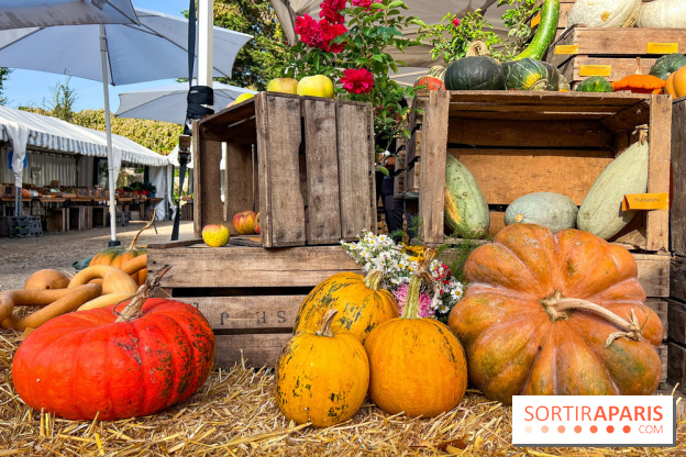Automne au Potager du Roi - Citrouilles - Halloween