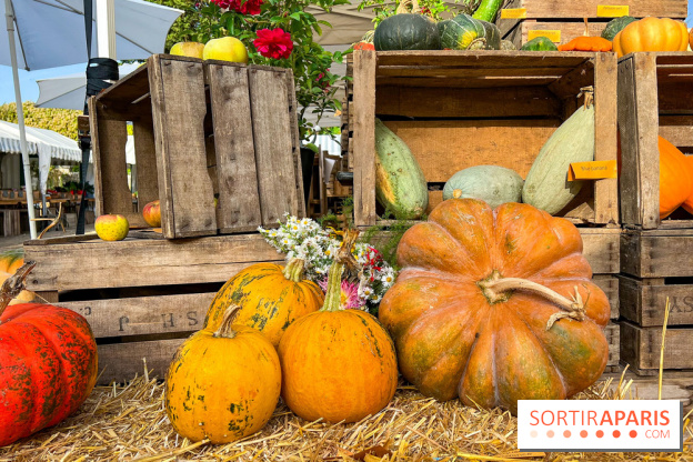 Automne au Potager du Roi - Citrouilles - Halloween