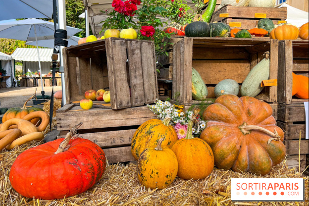 Automne au Potager du Roi - Citrouilles - Halloween