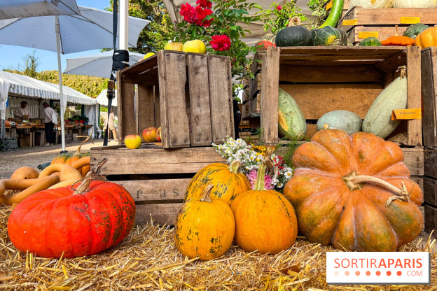 Automne au Potager du Roi - Citrouilles - Halloween