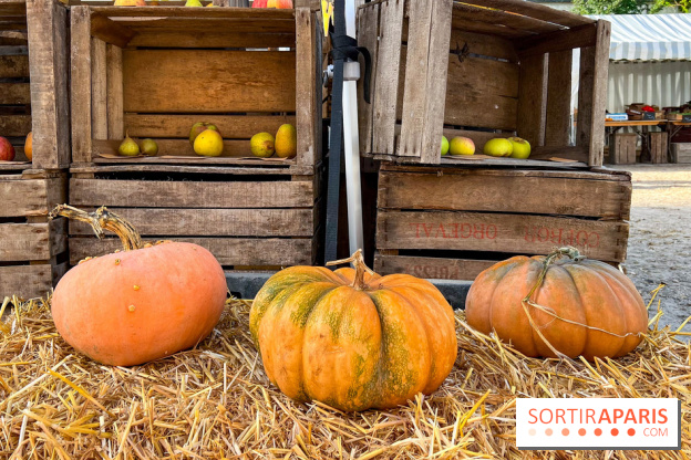 Automne au Potager du Roi - Citrouilles - Halloween