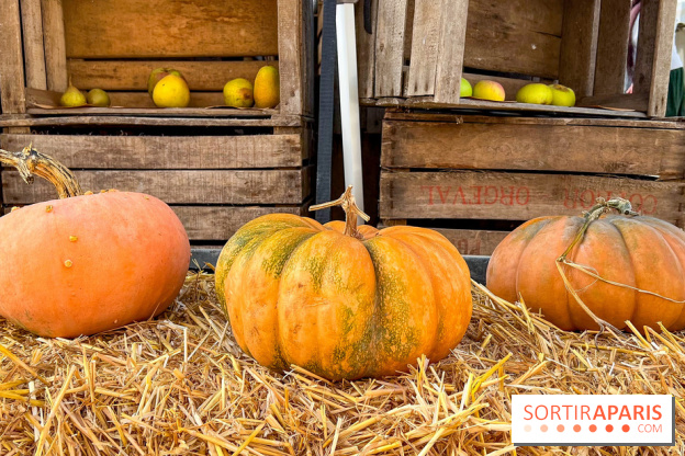 Automne au Potager du Roi - Citrouilles - Halloween