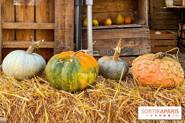 Automne au Potager du Roi - Citrouilles - Halloween