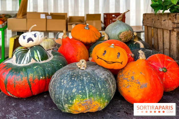 Automne au Potager du Roi - Citrouilles - Halloween