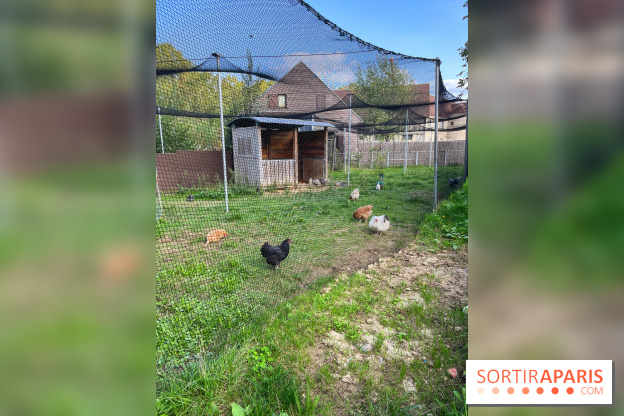 La ferme pédagogique du parc des Chanteraines - image00047