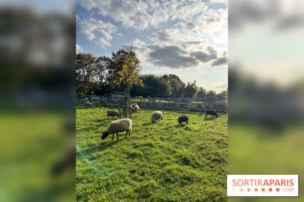La ferme pédagogique du parc des Chanteraines