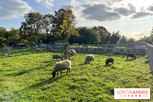 La ferme pédagogique du parc des Chanteraines