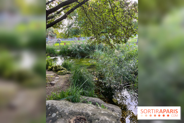 La ferme pédagogique du parc des Chanteraines - image00039