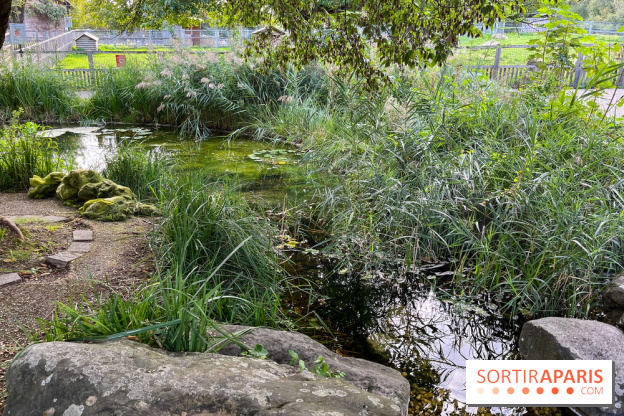 La ferme pédagogique du parc des Chanteraines - image00040