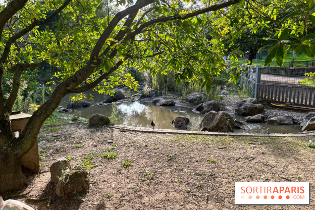 La ferme pédagogique du parc des Chanteraines - image00035