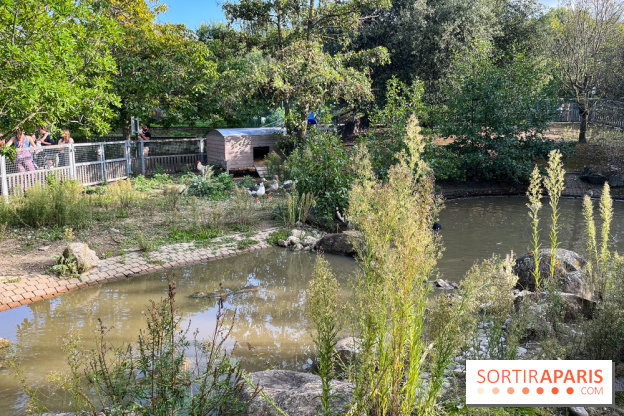 La ferme pédagogique du parc des Chanteraines - image00038