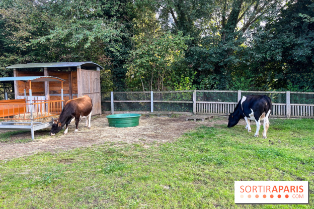 La ferme pédagogique du parc des Chanteraines - image00029