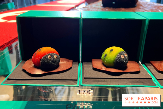 Créations 2023 Patrick Roger