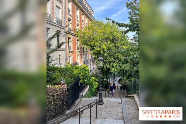 Vignes Montmartre