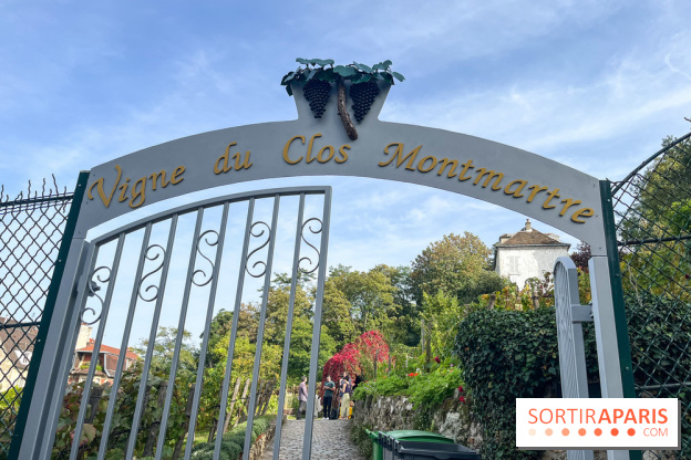 Vignes Montmartre