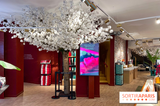 Rituals Mind Oasis - institut de relaxation mentale sur les Champs-Élysées - image00008