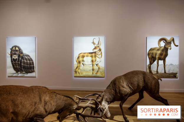 Sean Landers, les photos de son expo au Musée de la Chasse et de la Nature