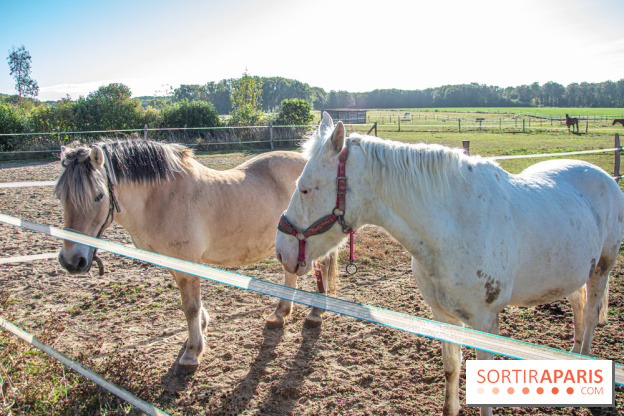 La Prairie The Oasis House chevaux