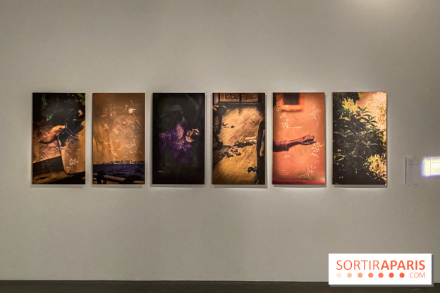 Exposition Hors de la nuit des normes Palais de Tokyo