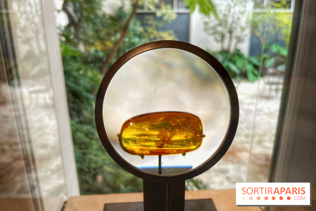 Trésors de la Mer Baltique - IMG 5838