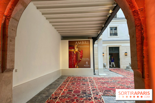 Trésors de la Mer Baltique - IMG 5844