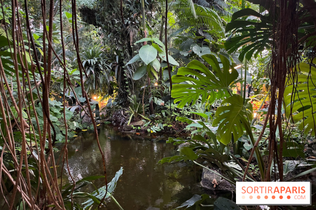 Automne Tropical 2023