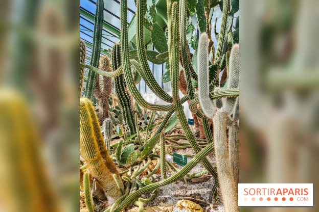 Automne Tropical 2023