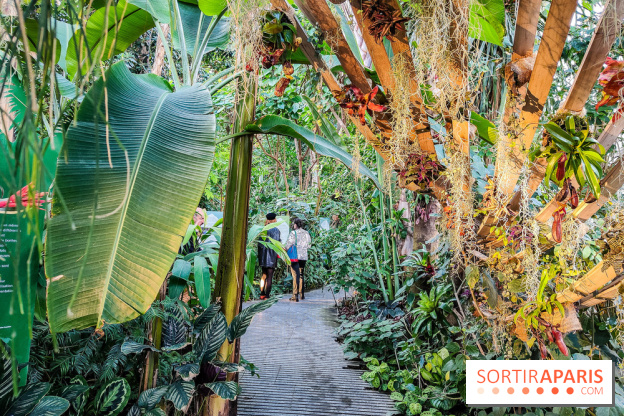 Automne Tropical 2023