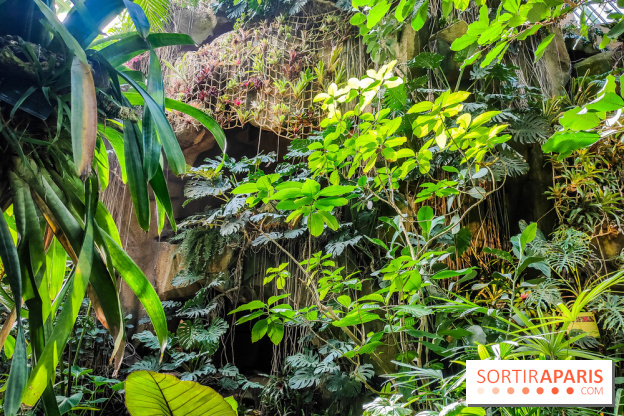 Automne Tropical 2023