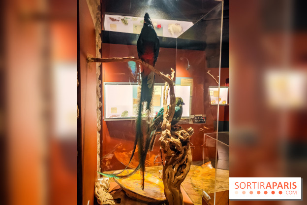 Choco Story, le musée du chocolat hyper gourmand à Paris