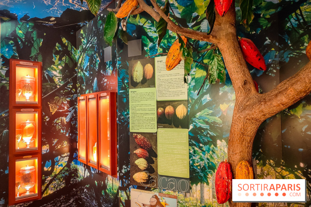 Choco Story, le musée du chocolat hyper gourmand à Paris