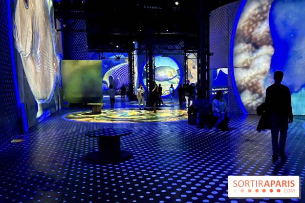 Océans, l'Odyssée Immersive à l'Atelier des Lumières - IMG 6117