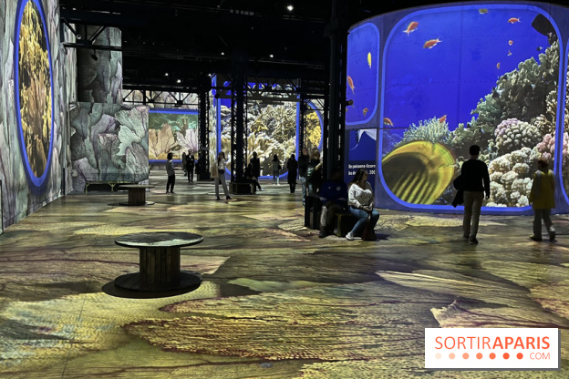 Océans, l'Odyssée Immersive à l'Atelier des Lumières - IMG 6118