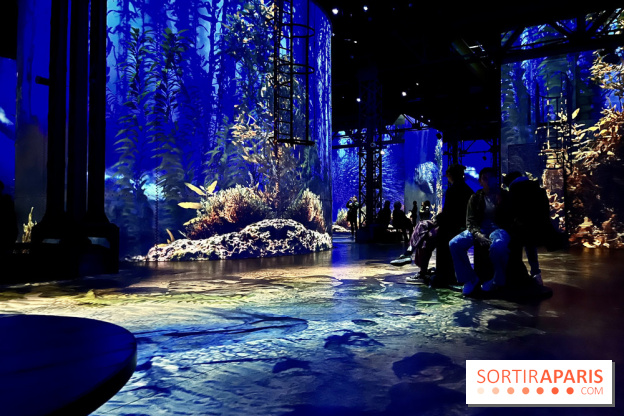 Océans, l'Odyssée Immersive à l'Atelier des Lumières - IMG 6173