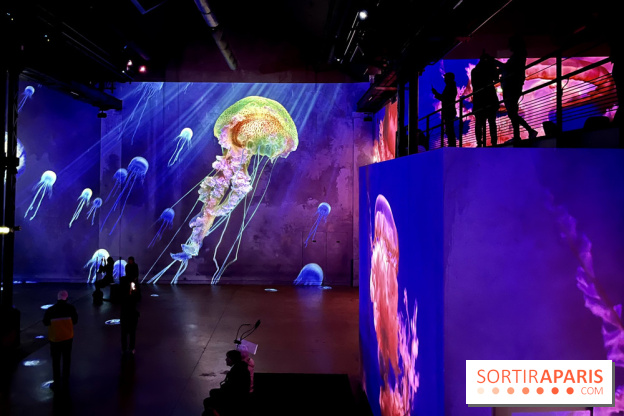 Océans, l'Odyssée Immersive à l'Atelier des Lumières - IMG 6181