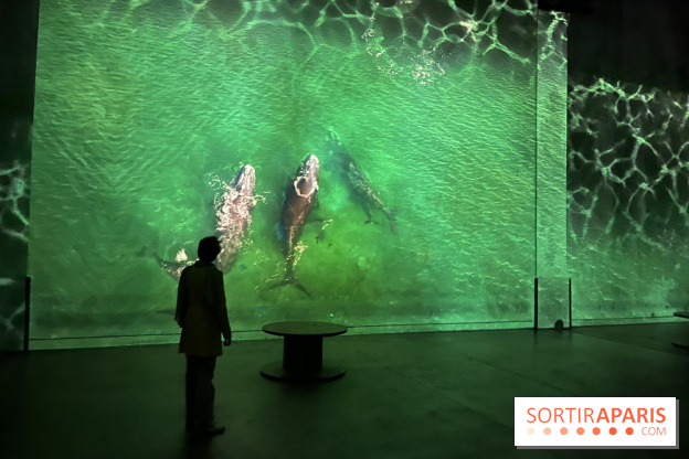 Océans, l'Odyssée Immersive à l'Atelier des Lumières