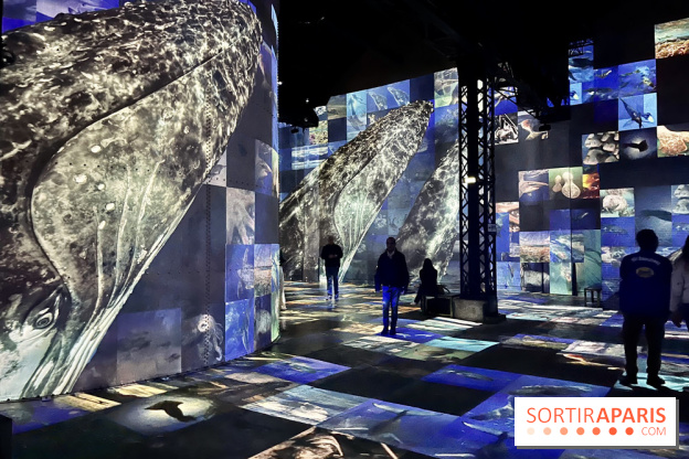 Océans, l'Odyssée Immersive à l'Atelier des Lumières
