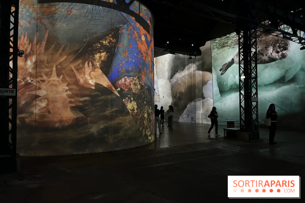 Océans, l'Odyssée Immersive à l'Atelier des Lumières - IMG 6226