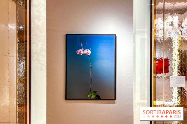 Les Fleurs du Mal, l'exposition gratuite sur les fleurs à la Maison Guerlain - Champs-Élysées