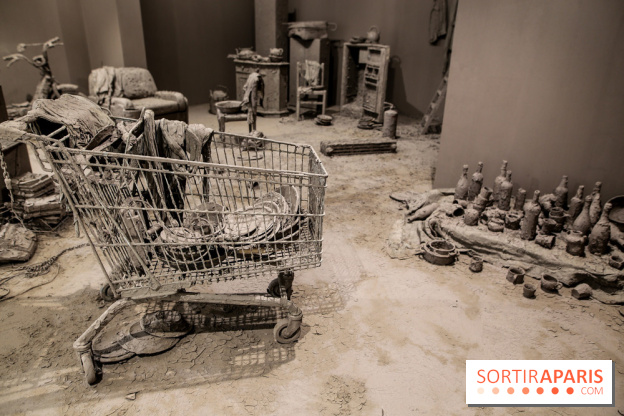 Chen Zhen, les photos de l'expo à la Galleria Continua - IMG 1349