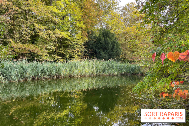 Le parc de l'Île Verte à Chatenay-Malabry - nos photos - image00548