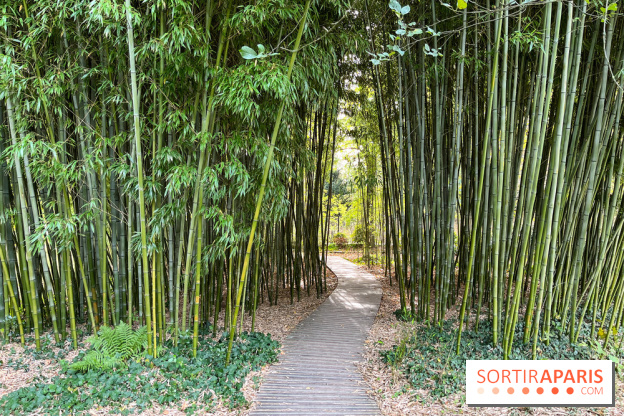 Le parc de l'Île Verte à Chatenay-Malabry - nos photos - image00542