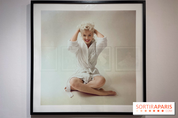 Expérience Monroe