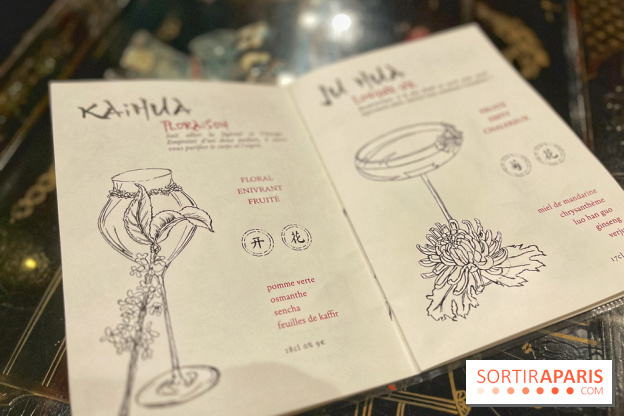 Red Poppy - IMG 6209