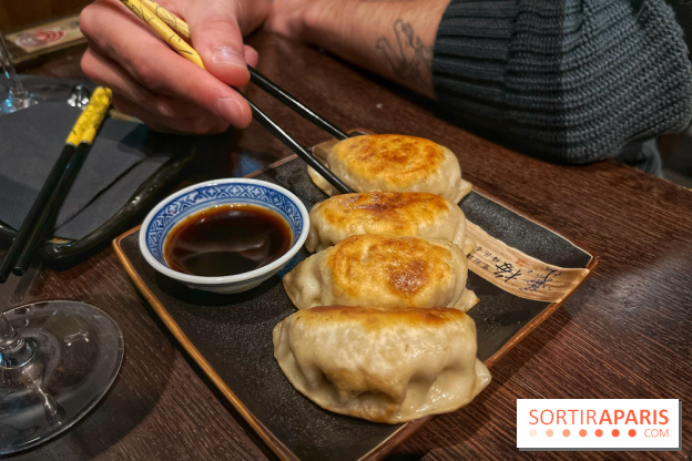 Red Poppy - IMG 6229