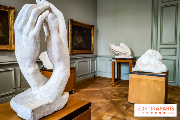 Le Musée Rodin, ses collections et son jardin